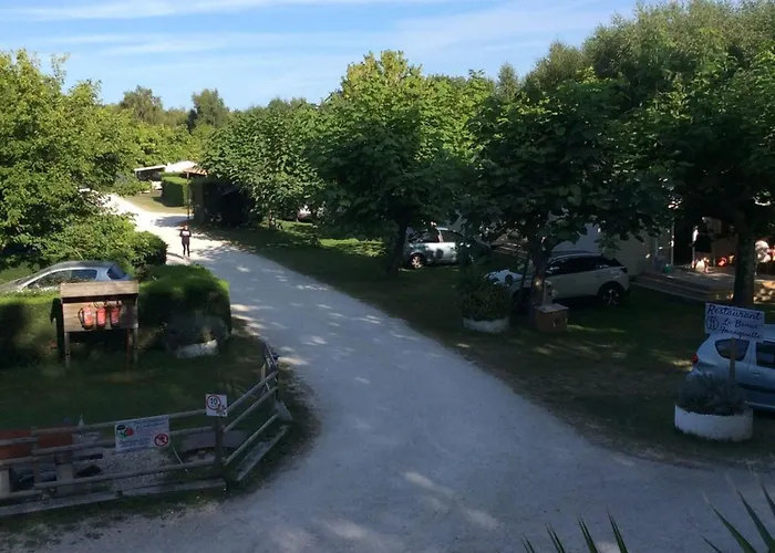 Mobil-home 4 Pers Avec Terrasse - - Api-1-52-1618 Campsite
